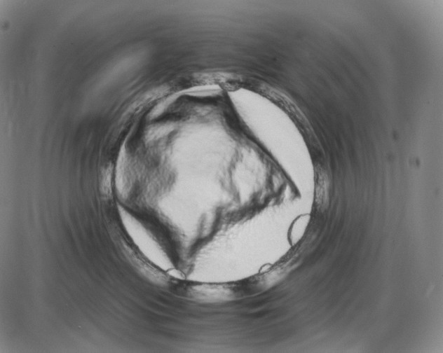 X0000085050477200704021324