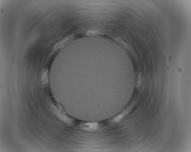 X0000085050478200704021324