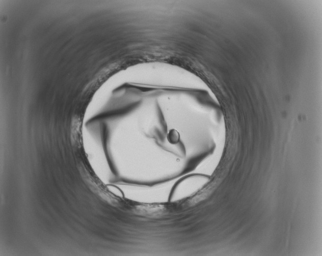 X0000085050480200704021324