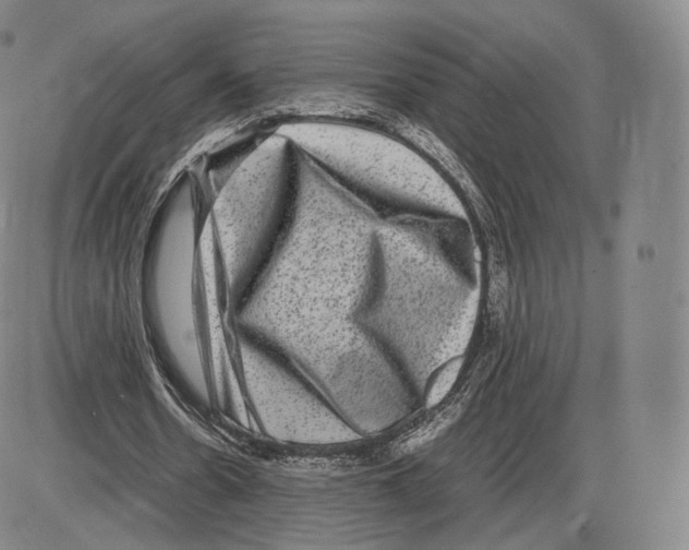 X0000085050530200704021322