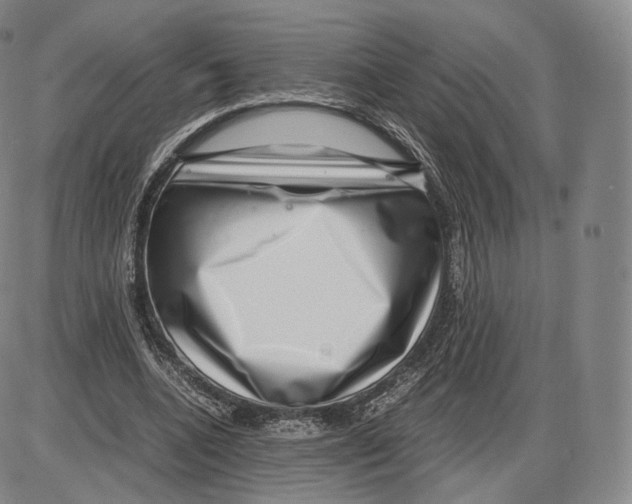 X0000085050536200704021322