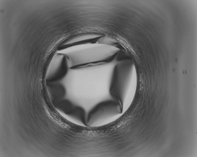 X0000085050538200704021322