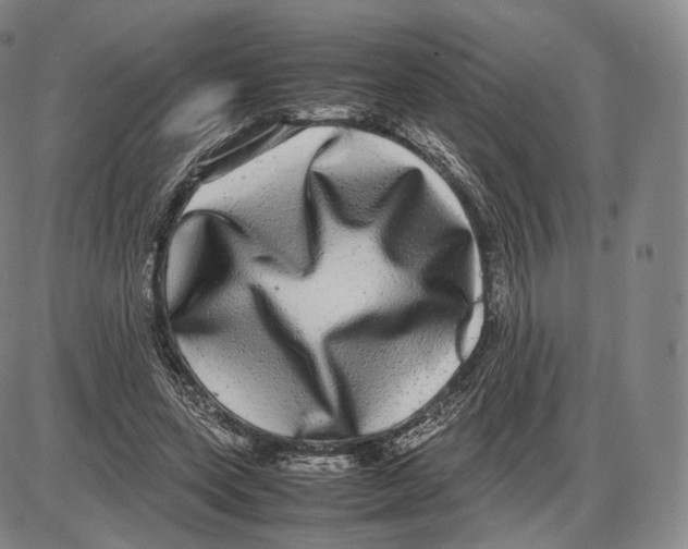 X0000085050543200704021322