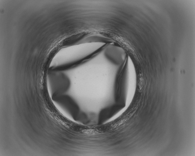 X0000085050544200704021322