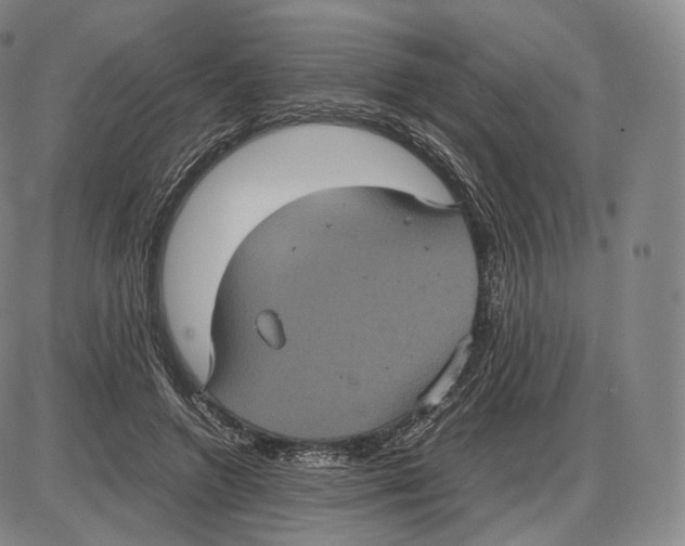 X0000085050546200704021322