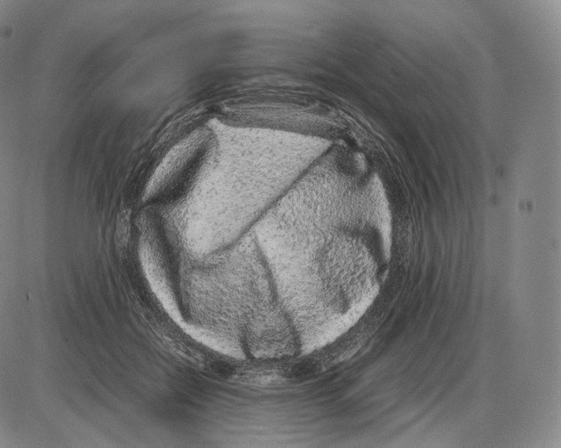 X0000085050554200704021322