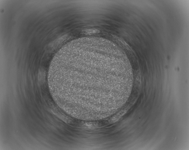X0000085050565200704021322