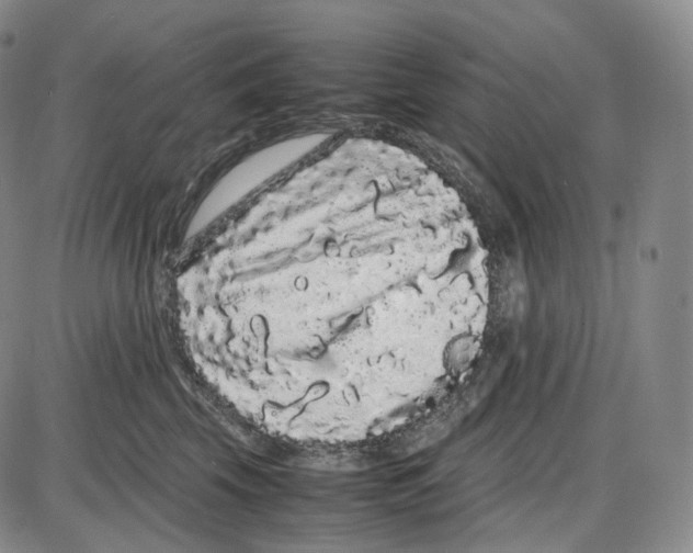 X0000085050569200704021322