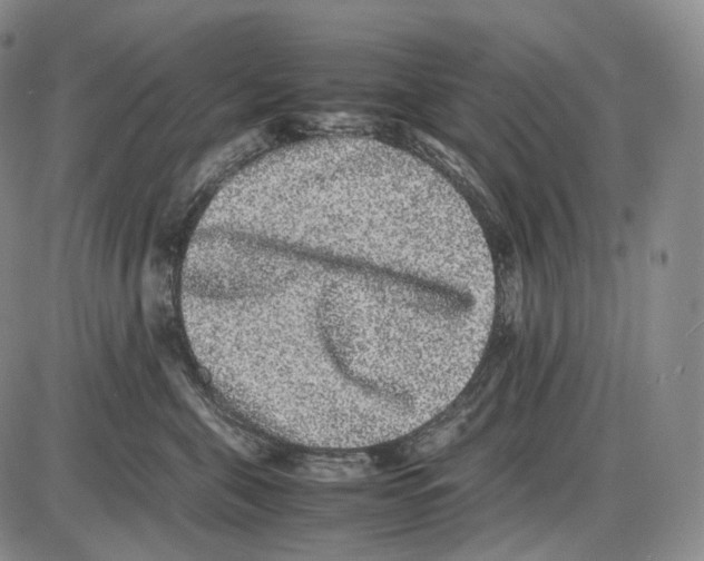 X0000085050571200704021322