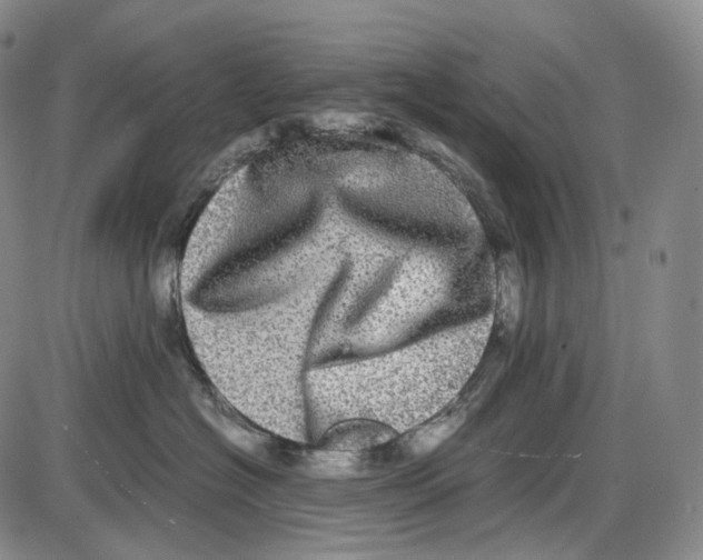 X0000085050574200704021322