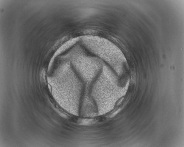 X0000085050575200704021322