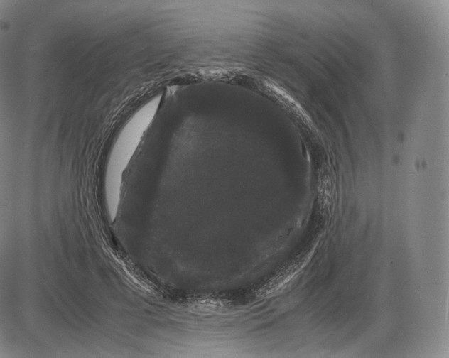 X0000085050593200704021321