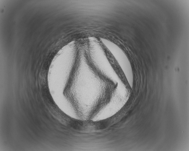X0000085050613200704021321