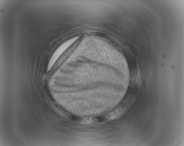 X0000085050623200704021321