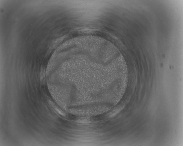 X0000085050624200704021321