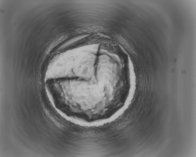 X0000085050634200704021320