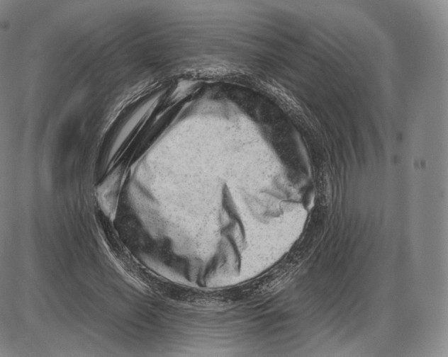 X0000085050638200704021320