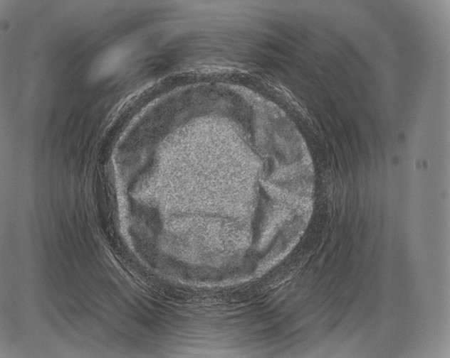 X0000085050640200704021320