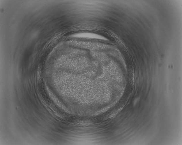 X0000085050644200704021320