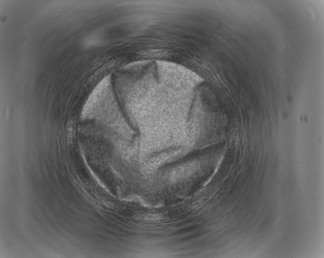 X0000085050647200704021320