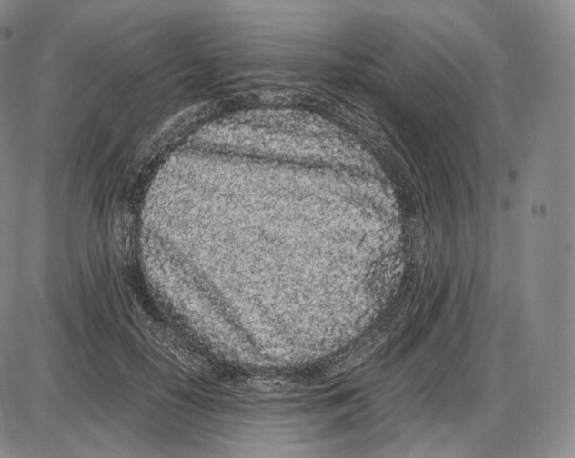 X0000085050650200704021320