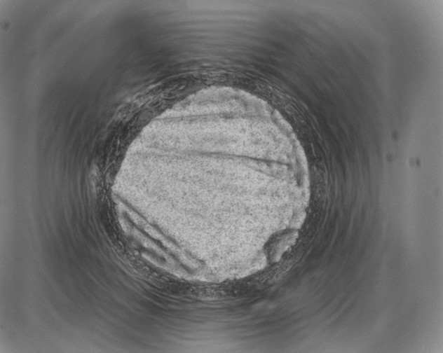 X0000085050654200704021320