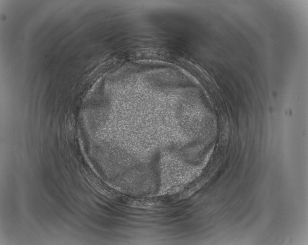 X0000085050661200704021321