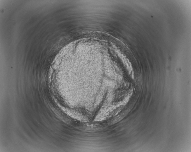 X0000085050662200704021321