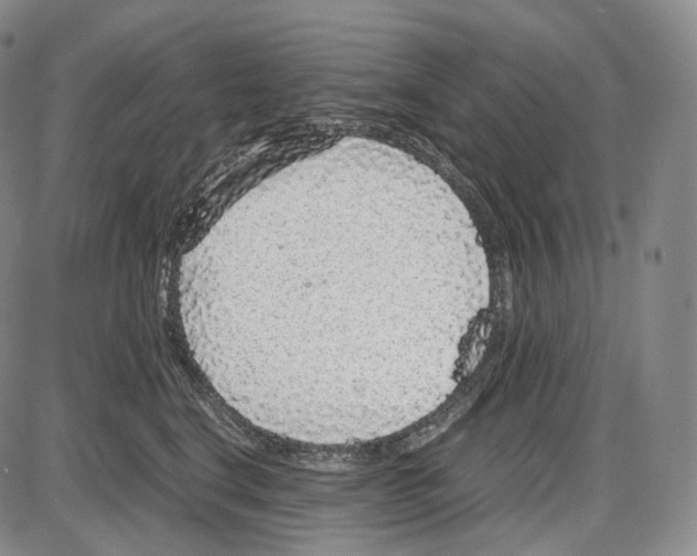 X0000085050664200704021321