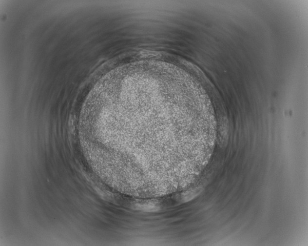 X0000085050667200704021321