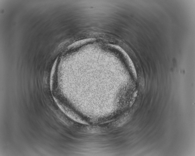 X0000085050668200704021321