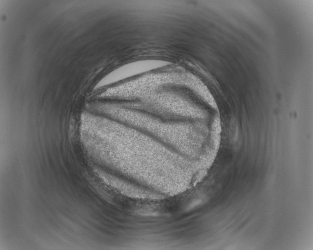 X0000085050669200704021321