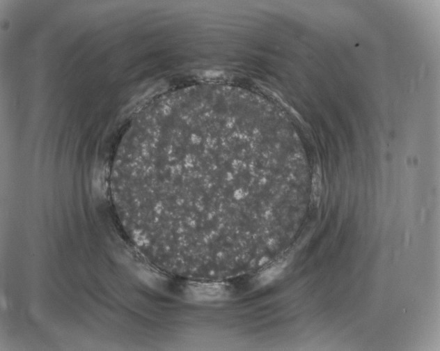 X0000085050671200704021321