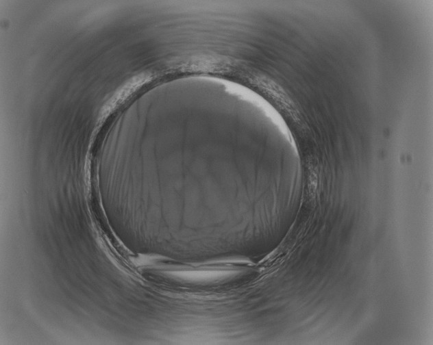 X0000085050678200704021320