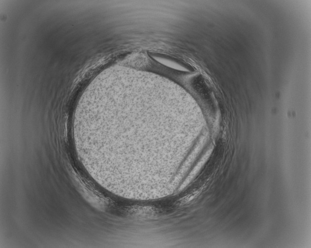 X0000085050685200704021320