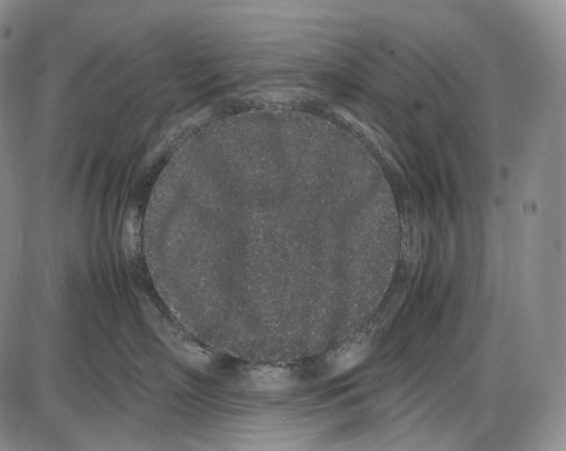 X0000085050718200704021319