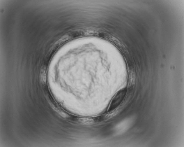 X0000085050719200704021319