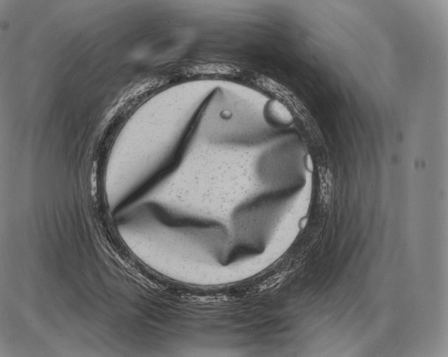 X0000085050731200704021318