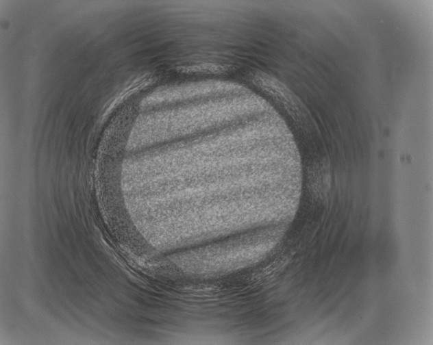 X0000085050735200704021319