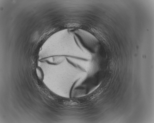 X0000085050743200704021319