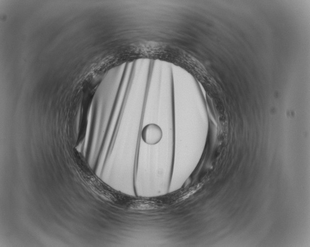 X0000085050750200704021319