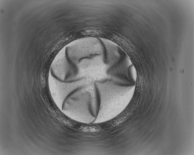 X0000085050751200704021319