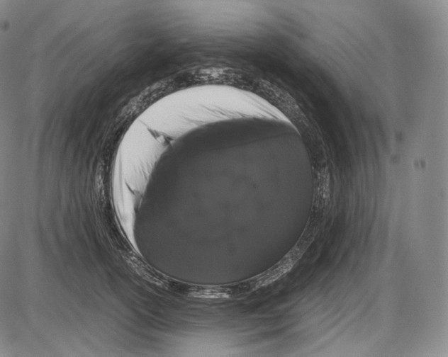 X0000085050754200704021319
