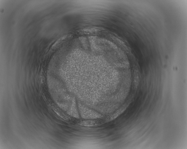 X0000085050758200704021319