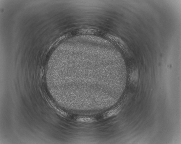 X0000085050759200704021319