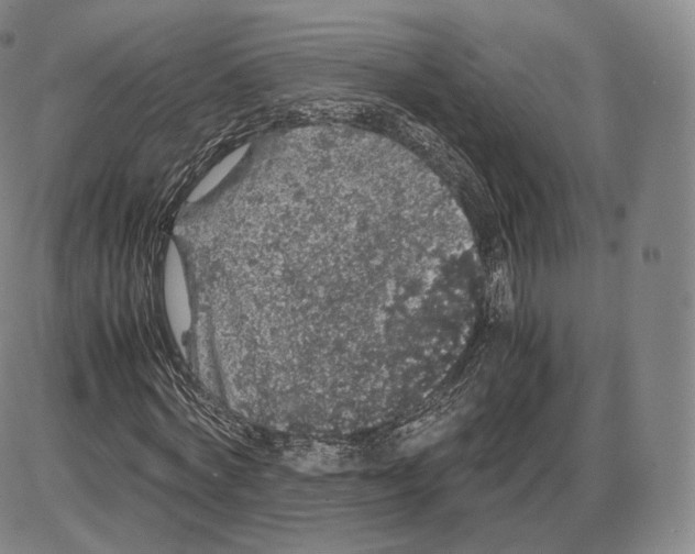 X0000085050772200704021318
