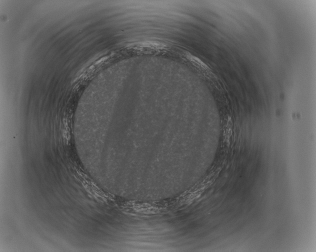 X0000085050774200704021318
