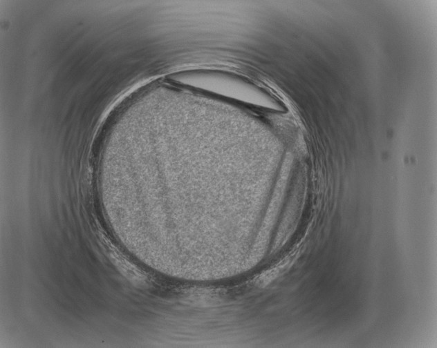 X0000085050779200704021318