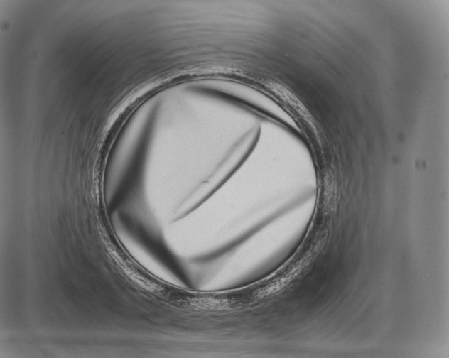 X0000085050789200704021318