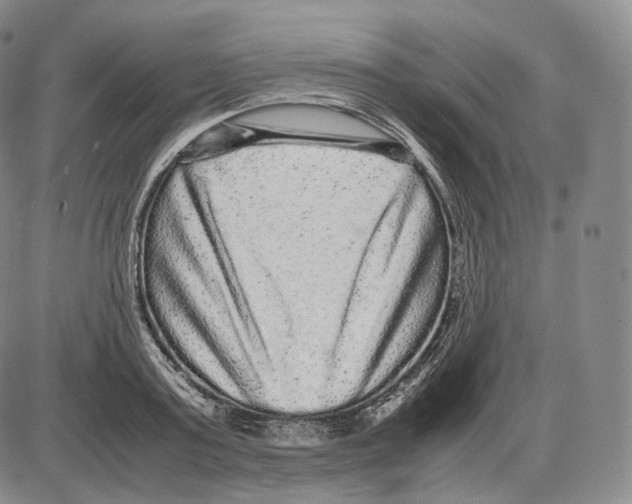 X0000085050795200704021318